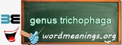 WordMeaning blackboard for genus trichophaga